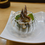 寿司・うなぎ 羽子吾 - お通し（とり貝とわけぎのワサビドレッシング）