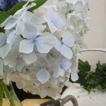 中華そば 紅蘭 - 