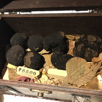 マルゴット エ バッチャーレ - 