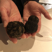 マルゴット エ バッチャーレ - 