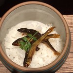 ろっかん - 小鮎ご飯