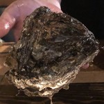 ろっかん - 岩がき