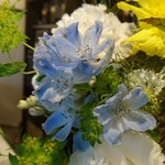 いなだ珈琲舎 - 花