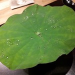 炭火割烹 白坂 - 夏らしい器…