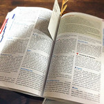 たんぽぽ - 旅行ガイドブック「ロンリープラネットJAPAN」