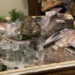 居魚屋 うおはん - お魚ワゴンサービス