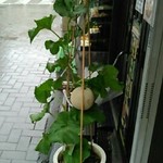 深大寺門前そば - 