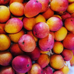 クレープリー チロル - ミニマンゴー（数量限定）