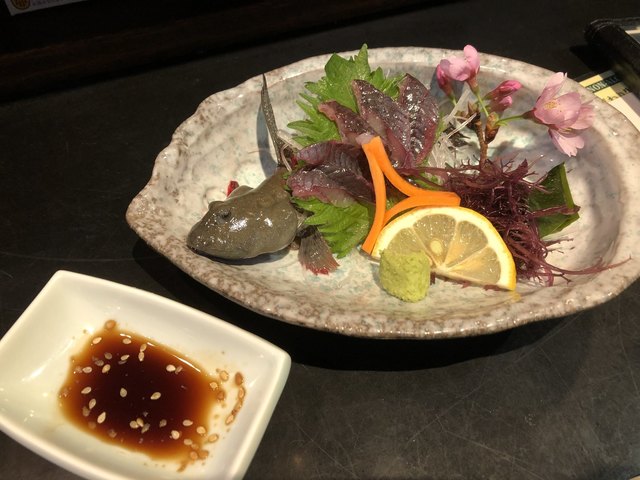 ムツゴロウをはじめとした 様々な有明海珍味を楽しめる居酒屋 By 大阪めんま 蔵 旧店名 福太郎 佐賀 居酒屋 食べログ