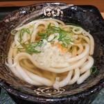 Hanamaru Udon - かけうどん