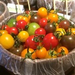 瀬のしろ 和ダイニングバー - 