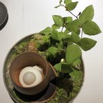 レスピラシオン - 