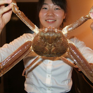 水槽中的活雪蟹，價格便宜☆1只14800日元起
