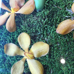 Nicolai Bergmann NOMU - ニコライバーグマンのテーブルトップ。