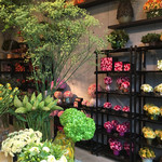 Nicolai Bergmann NOMU - 