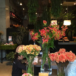 Nicolai Bergmann NOMU - 