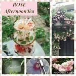 フレッシュクリーム - 