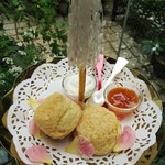 フレッシュクリーム - 