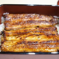 うなぎ割烹 白金台 まつ本 - うな重　特