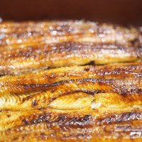 うなぎ割烹 白金台 まつ本 - あっぷ