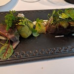 プレヴナンス - 