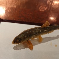 京都 天ぷら圓堂 岡ざき邸 - 