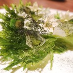 ル スプートニク - フリルレタスとホタテ