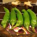 道人 - ⑥炭火焼き鷹峯唐辛子(京都府産)
      鷹峯唐辛子は、京都市北区鷹峯で戦前から栽培されている京野菜の甘唐辛子で農家数が少なく希少らしい
      旬は初夏～初秋で、万願寺唐辛子よりも撫で肩で、瑞々しい甘みがあります。