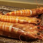 道人 - ⑧蒸し車海老(兵庫県明石産、超大型)
      産卵期は初夏～初秋、旬は初夏～初秋。
      瀬戸内海にこんな大きな車海老が居るんだ！と驚かされます
      本当に原価を掛け、極上の料理を安価で提供され、頭が下がります