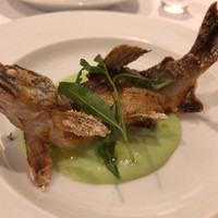 カーザ ヴィニタリア - 