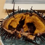 すし人　酒伊 - 2019.7.生きてる雲丹