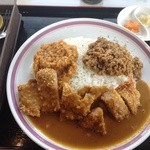 カレー劇場 キクチ - トリプルカレー＋ヒレカツ（1,100円）