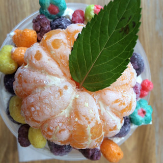 自由が丘プラス_1