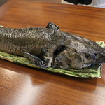 柚木元 - チョウザメ