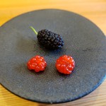 柚木元 - 木苺と桑の実