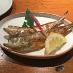 Isokura - 