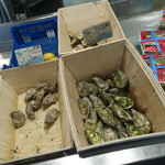 L'Hippocampe - L'Hippocampe poissonnerie