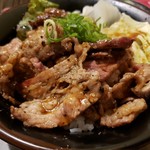 精肉・卸の肉バルSanoso - 炭火焼き牛カルビステーキ丼(肉増増280g)