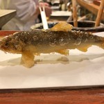 江戸前晋作 - 若鮎