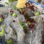 江之島亭 - 生しらす釜揚げしらす丼