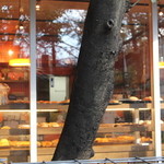 ブーランジェリー カドー - 外から見たお店