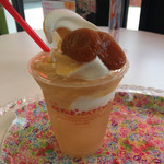 あんずの里のあんずショップ - あんずフロート