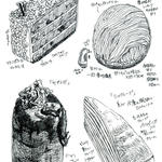 スイーツガーデン ユウジアジキ - イラスト4点