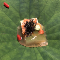 近又 - 