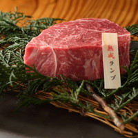 ランプ≪希少部位≫