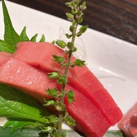 鮨 やまけん 銀座店 - 