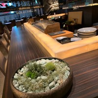 鮨 やまけん 銀座店 - 