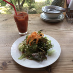 トラットリア ノラ･クチーナ - 