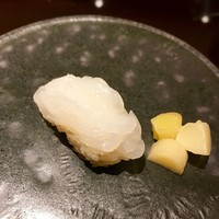一本木石橋 - アオリイカ