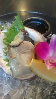 h Isohachi - 生牡蠣